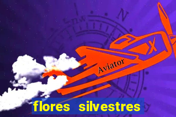 flores silvestres desbravadores desbravadores 25 flores silvestres e seus nomes